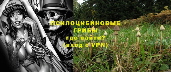 соль ск Вяземский