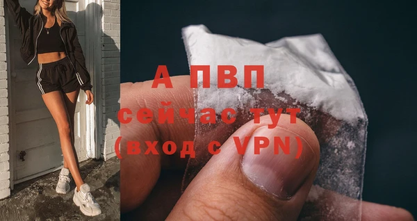 соль ск Вяземский