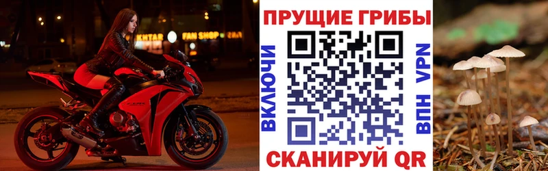 наркотики  Балашиха  Галлюциногенные грибы MAGIC MUSHROOMS 